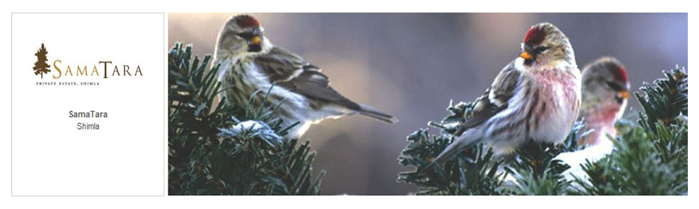 Slideshow Image 1