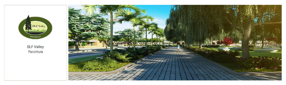 Slideshow Image 2